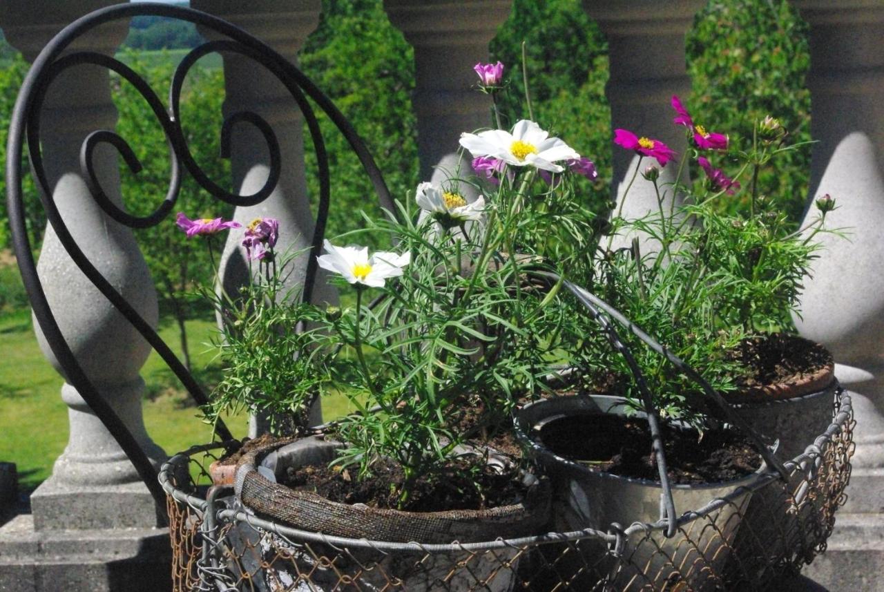 Le Manoir De Crisolles Bed & Breakfast Bagian luar foto